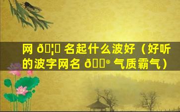 网 🦉 名起什么波好（好听的波字网名 💮 气质霸气）